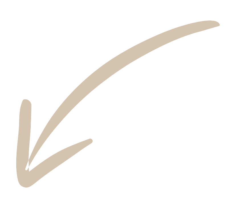 Services aux Professionnels